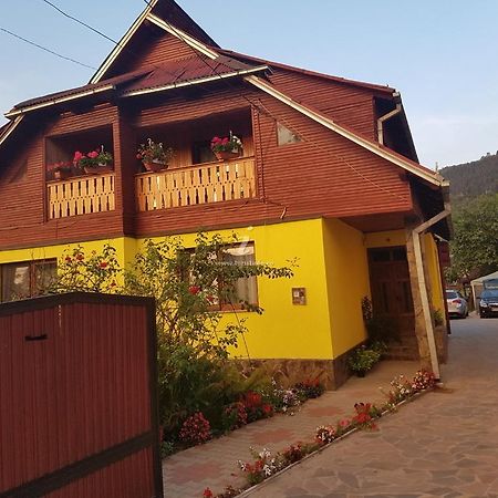 Camere De Inchiriat Floarea Reginei Felsővisó Kültér fotó