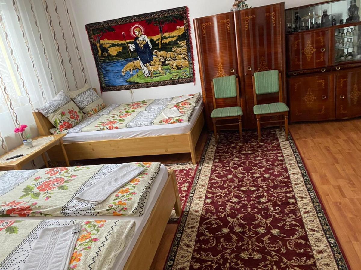 Camere De Inchiriat Floarea Reginei Felsővisó Kültér fotó